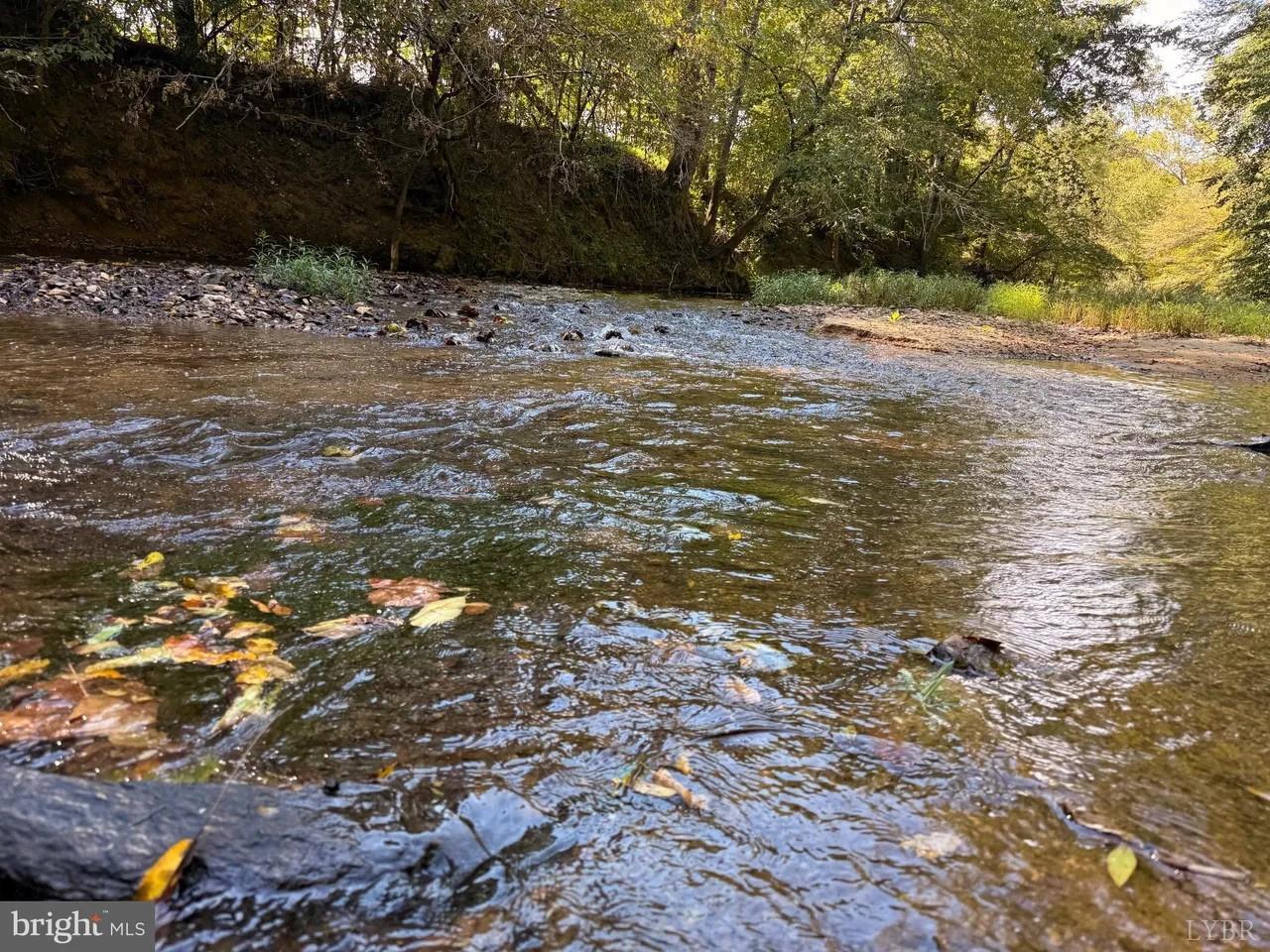 0 Coleman Mountain Road Appomattox, VA 24522 - Photo 11 of 19 a view of a yard with a tree