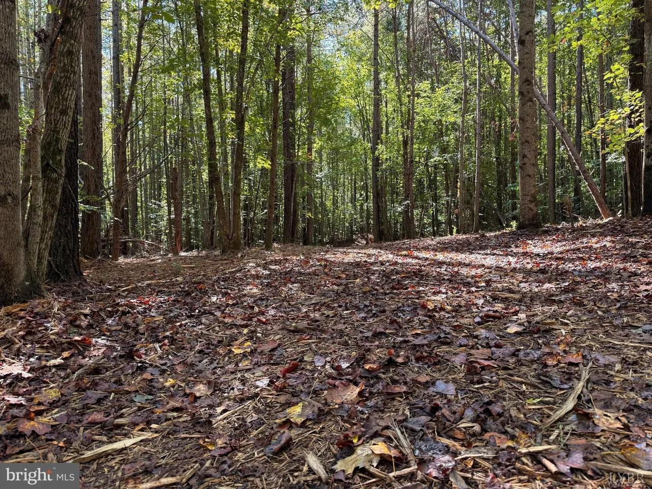 0 Coleman Mountain Road Appomattox, VA 24522 - Photo 13 of 19 a big yard with lots of green space