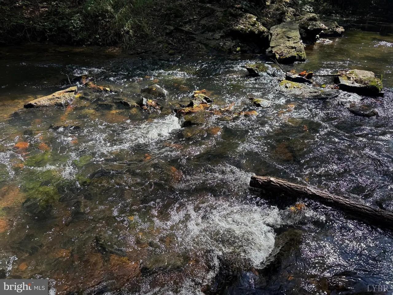 0 Coleman Mountain Road Appomattox, VA 24522 - Photo 14 of 19 a view of street with trees
