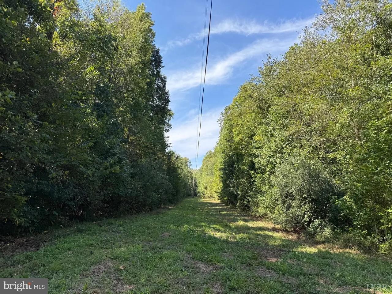 0 Coleman Mountain Road Appomattox, VA 24522 - Photo 16 of 19 a view of a yard