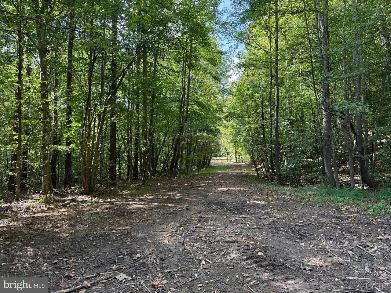 0 Coleman Mountain Road Appomattox, VA 24522 - Photo 17 of 19 a view of outdoor space with trees