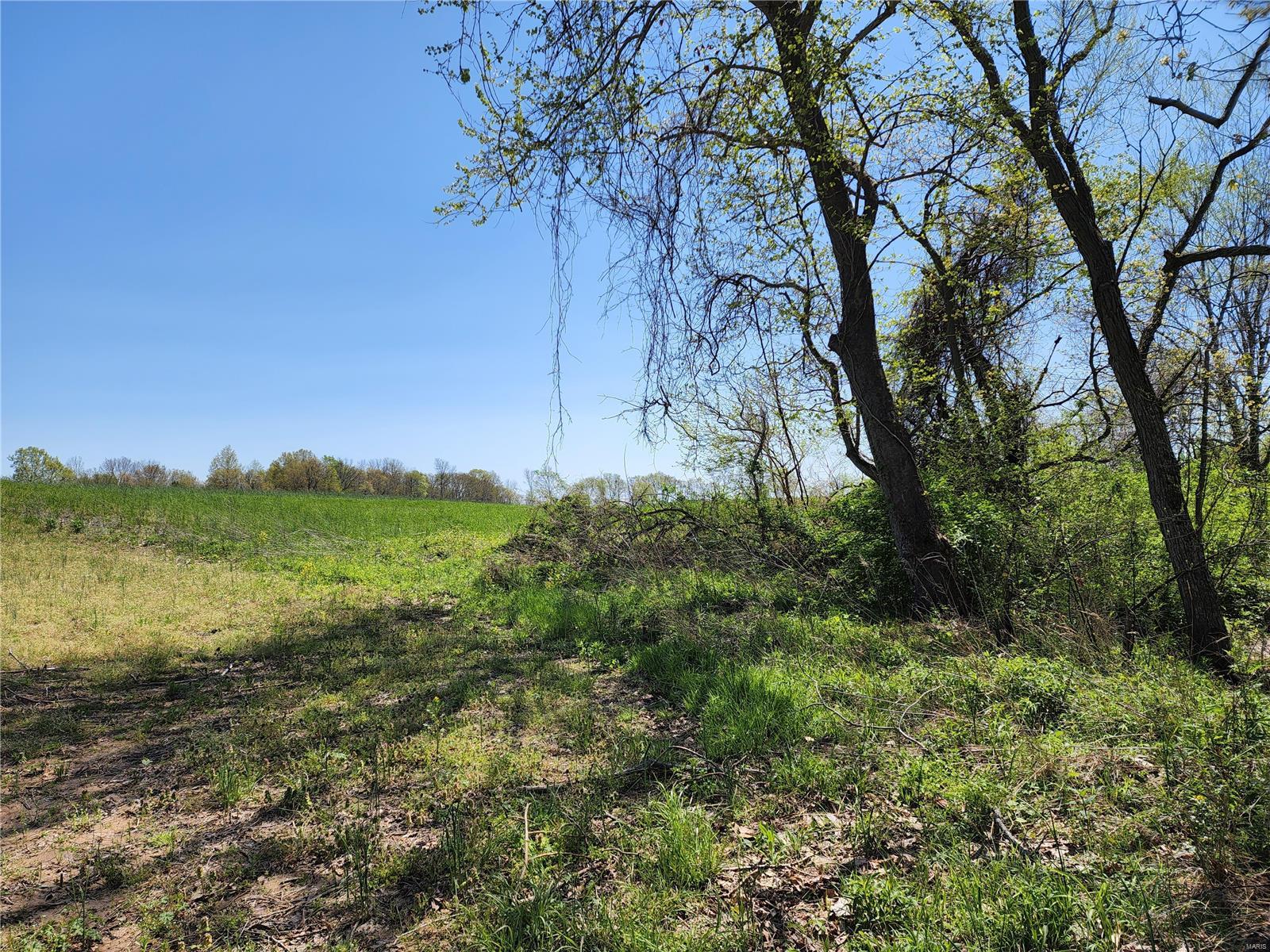 12 Brown Road Ava, IL 62907 - Photo 3 of 19