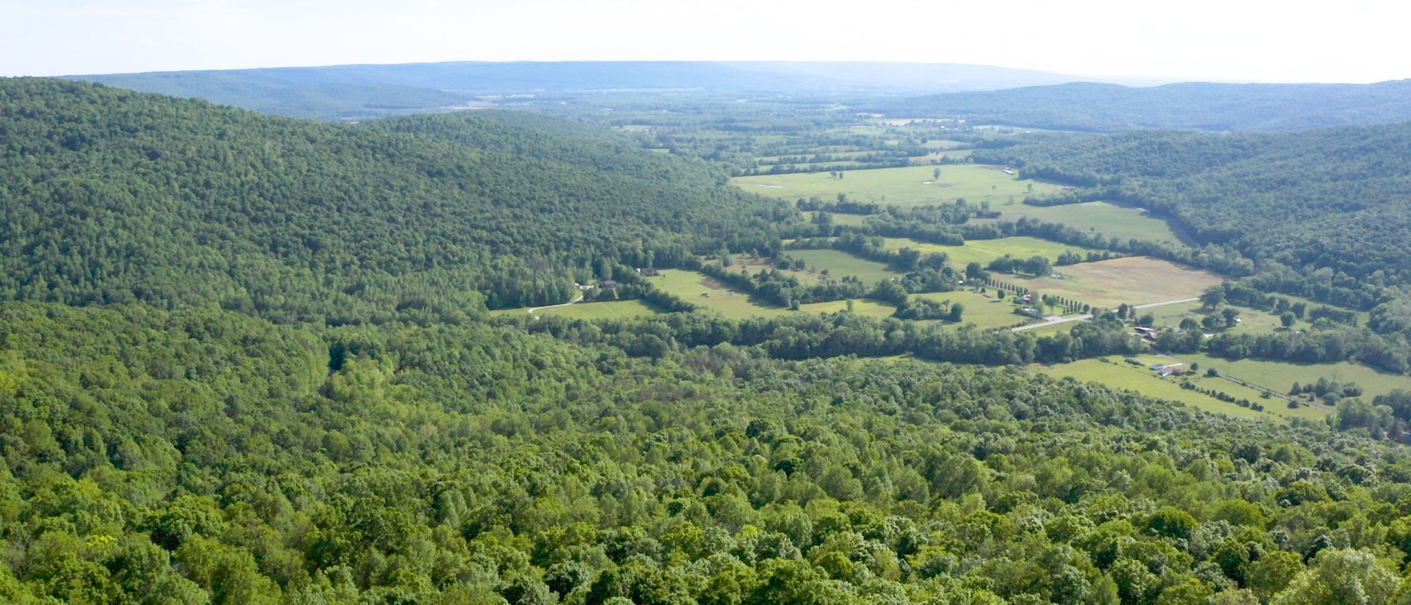 256 Vista Vue Trail Pelham, TN 37366 - Photo 32 of 67 a view of a lush green field with lots of bushes