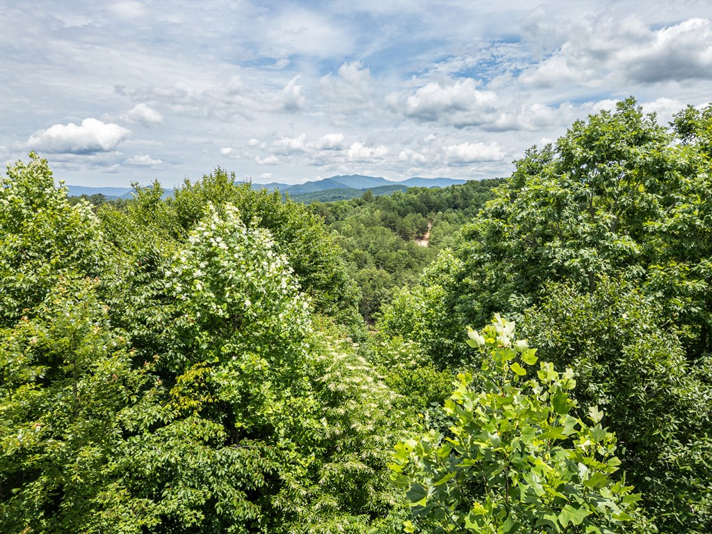 2 Stormy Ridge Brasstown, NC 28902 - Photo 9 of 16