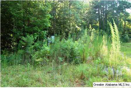 New Harmony Road, Unit 2 Lineville, AL 36266 - Photo 7 of 16