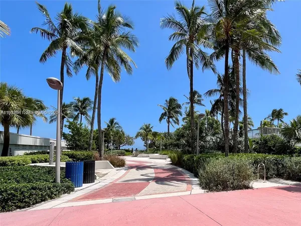 a view of a yard with palm trees