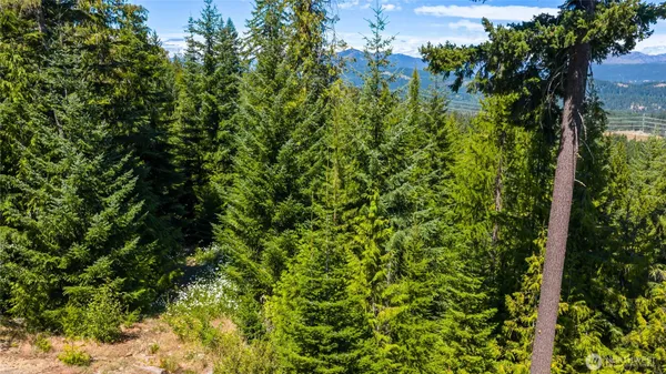 $299,000 | 91 Basin Creek Way, Cle Elum, WA 98922