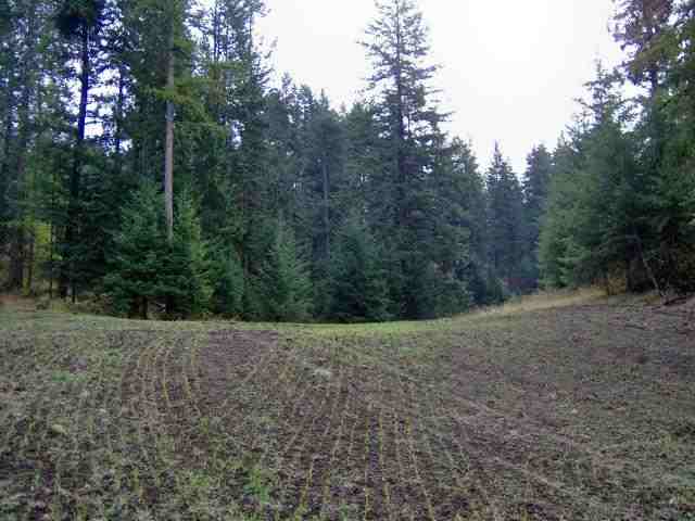 0 Behrens Road Kettle Falls, WA 99141 - Photo 1 of 3 Gallery Image 1