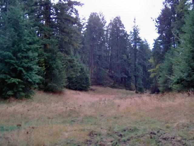 0 Behrens Road Kettle Falls, WA 99141 - Photo 2 of 3 Gallery Image 2