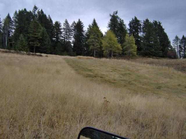 0 Behrens Road Kettle Falls, WA 99141 - Photo 3 of 3 Gallery Image 3
