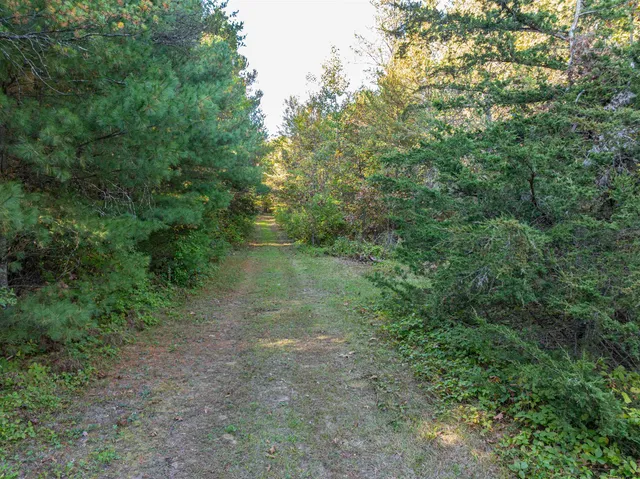 $269,900 | 37.70-acres 63rd, Lyndon Station, WI 53944