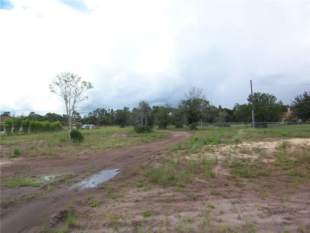 20310 Ralston Street Orlando, FL 32833 - Photo 4 of 9 Photo 4