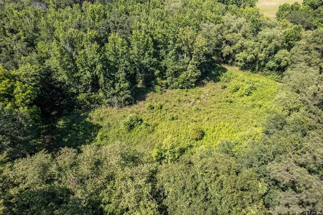 a view of a lake with a yard