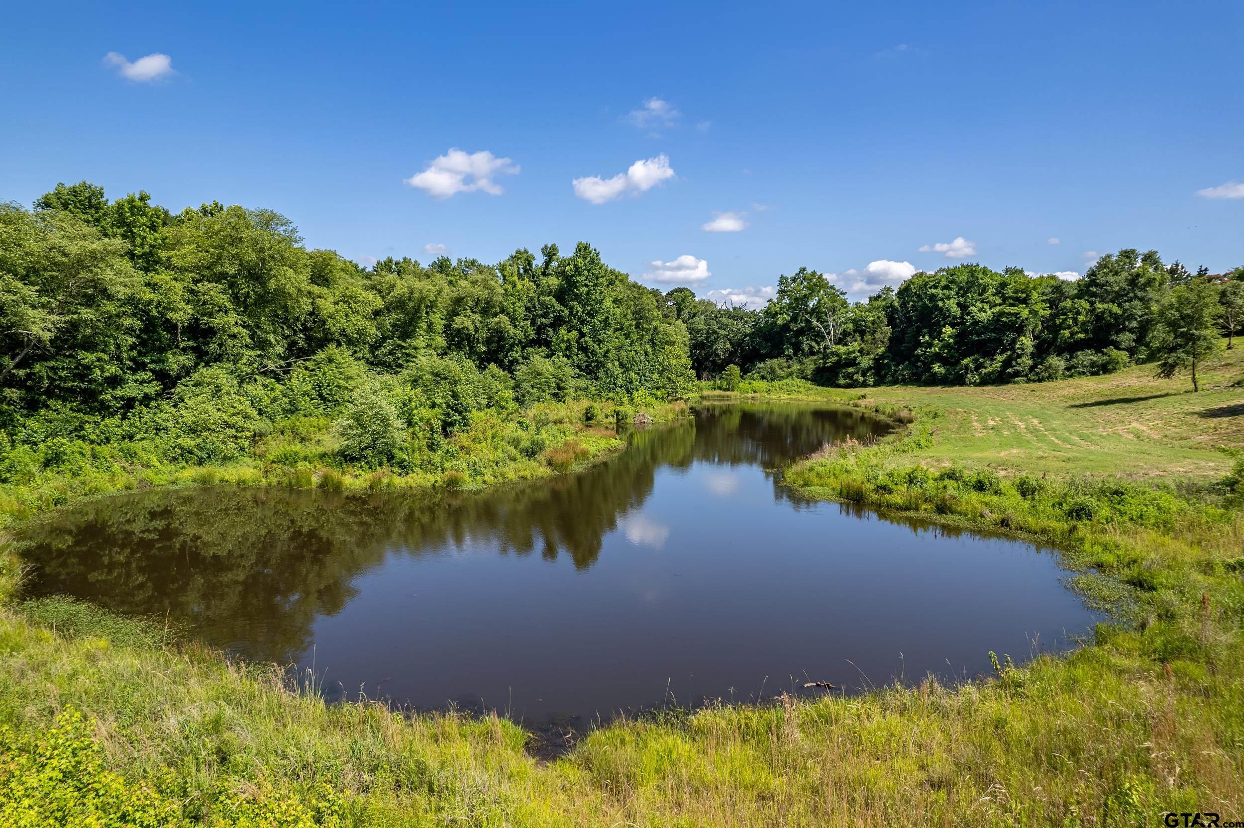17823 County Road 132 Flint, TX 75762 - Photo 45 of 48 a view of a lake from a yard