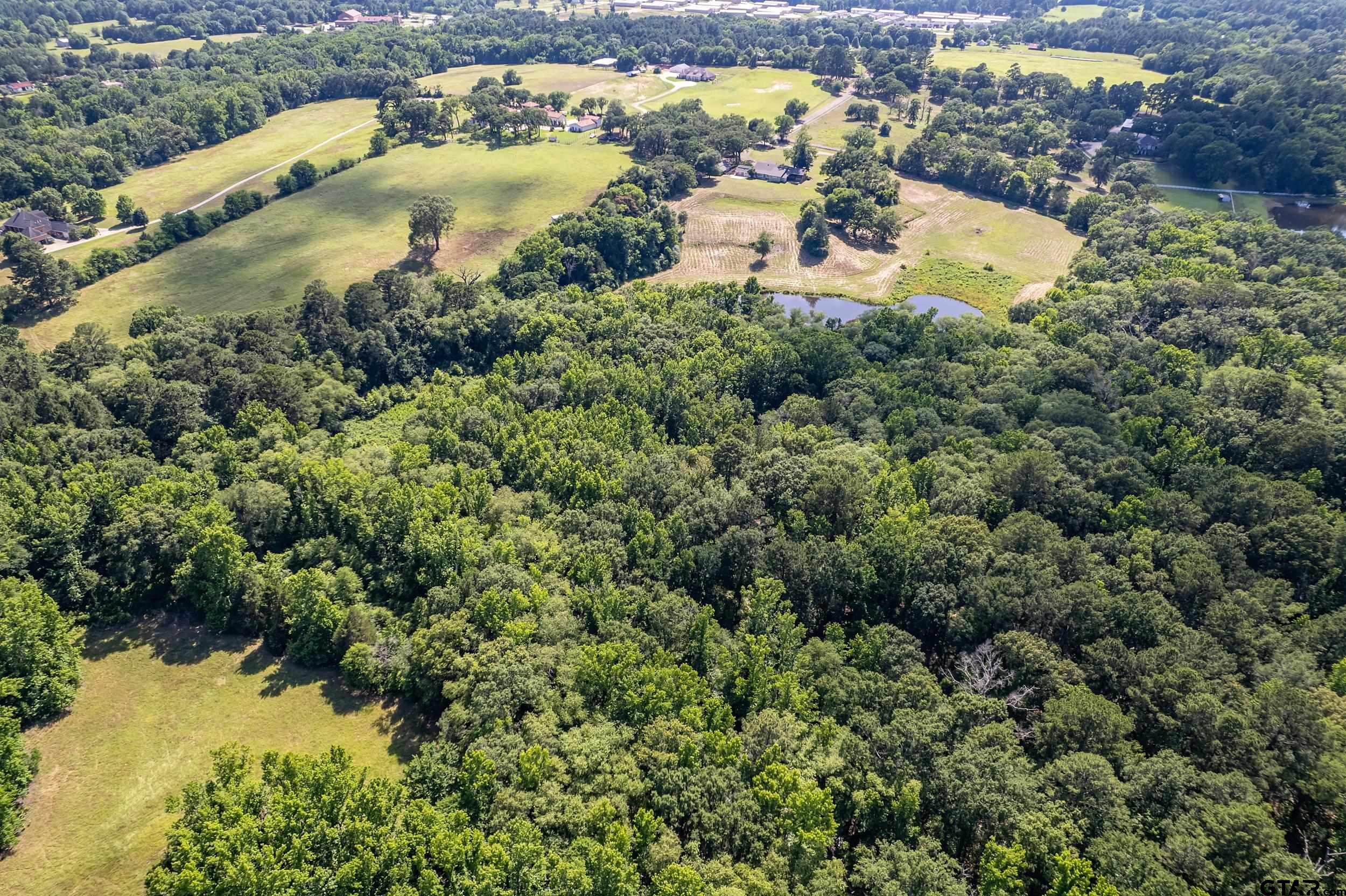 17823 County Road 132 Flint, TX 75762 - Photo 46 of 48 an aerial view of a house with a lake view