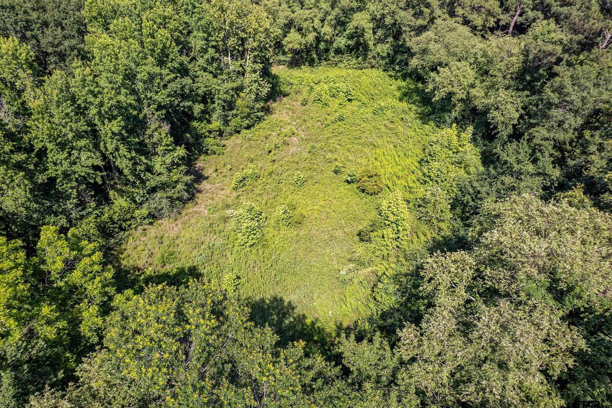 17823 County Road 132 Flint, TX 75762 - Photo 6 of 48