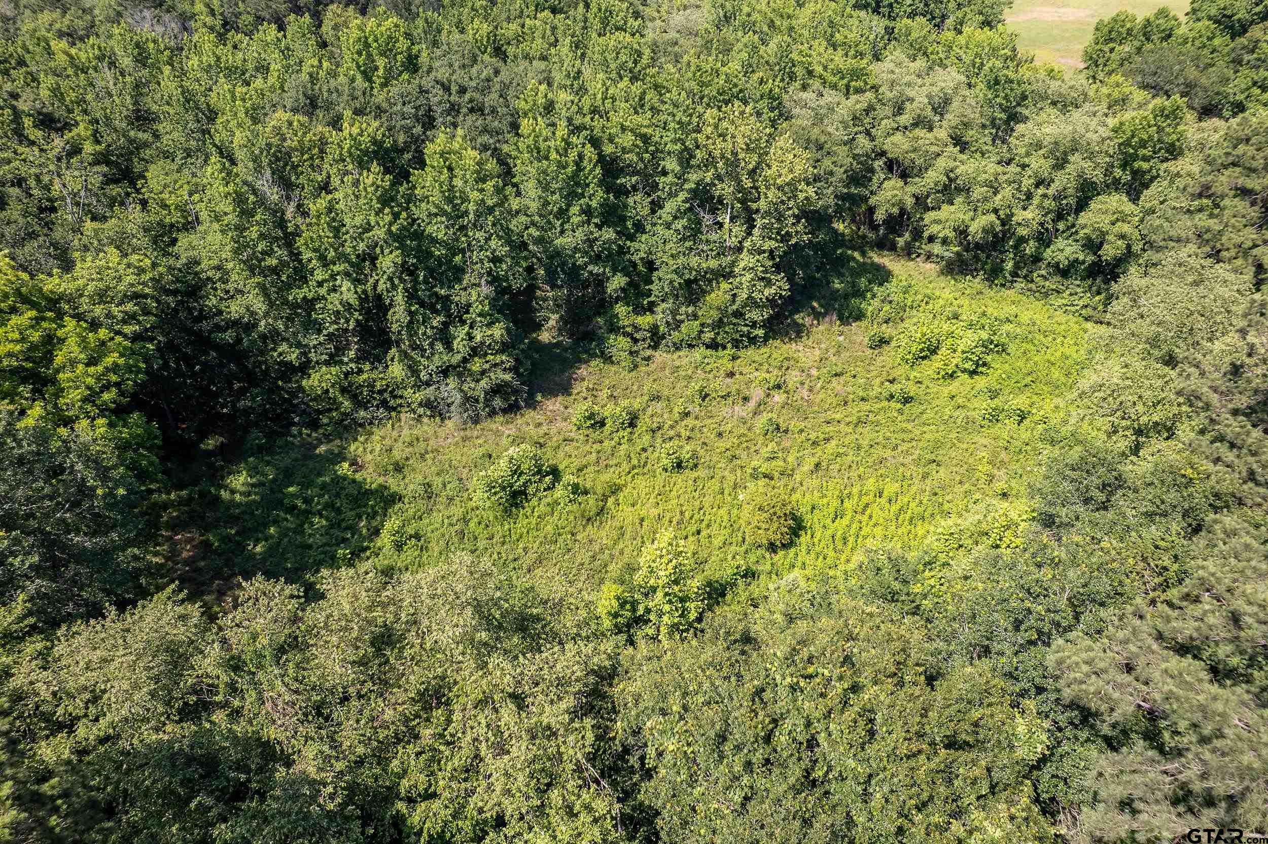 17823 County Road 132 Flint, TX 75762 - Photo 7 of 48 a view of a yard