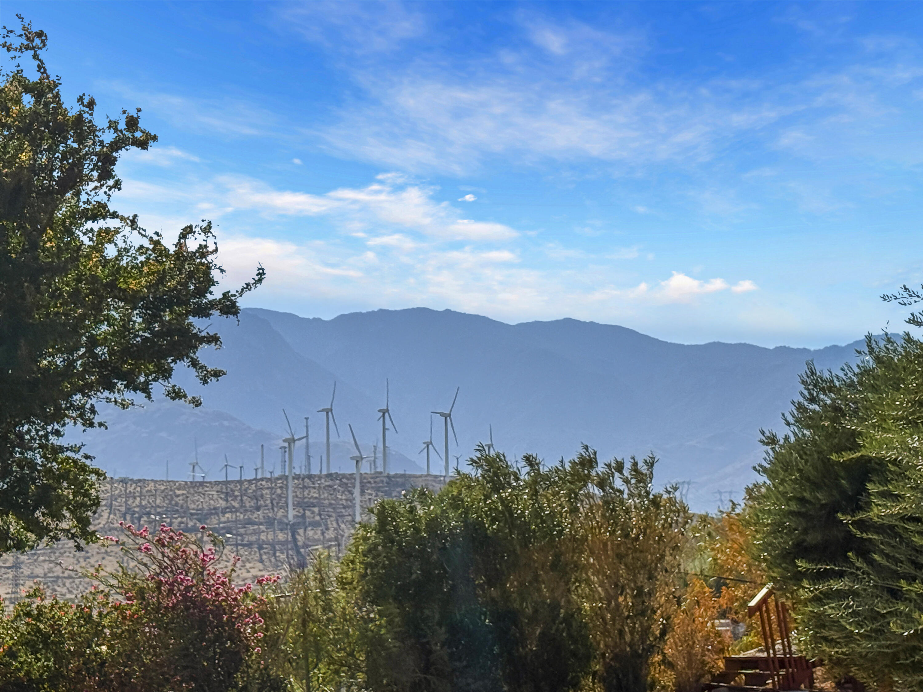 60781 Painted Hills Road Whitewater, CA 92282 - Photo 18 of 39 a view of a yard