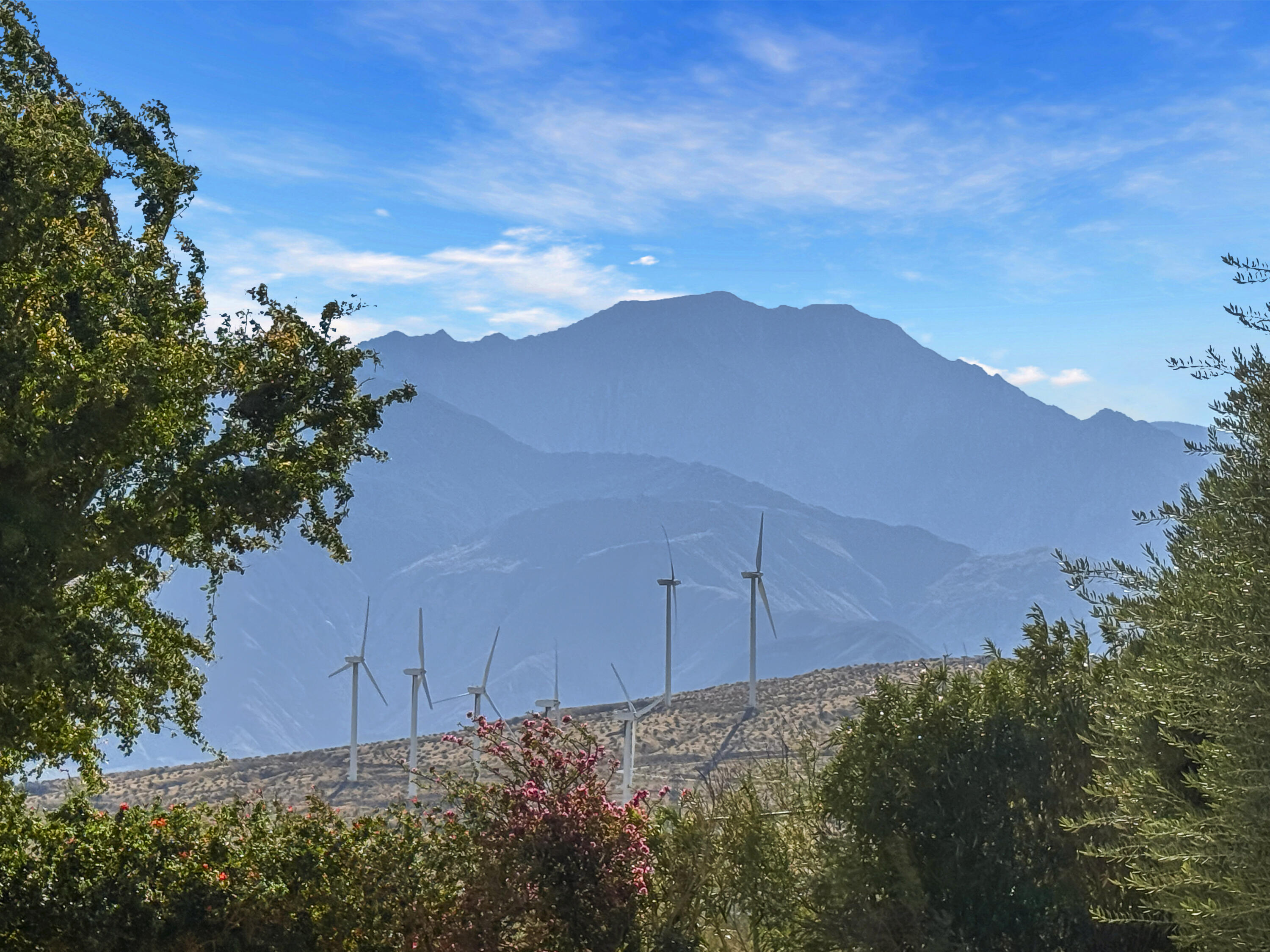 60781 Painted Hills Road Whitewater, CA 92282 - Photo 19 of 39 a view of a backyard
