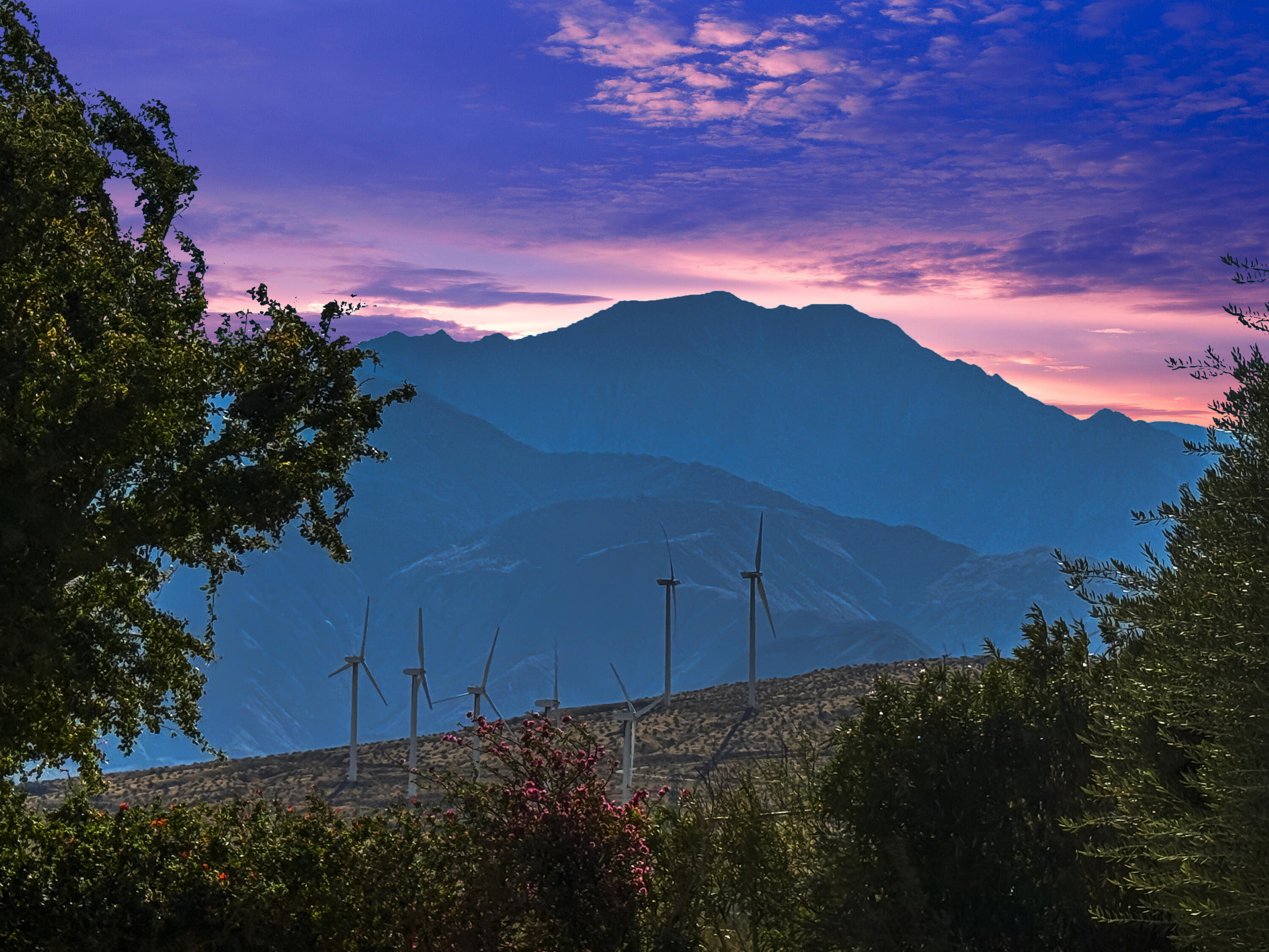 60781 Painted Hills Road Whitewater, CA 92282 - Photo 20 of 39 a view of a yard