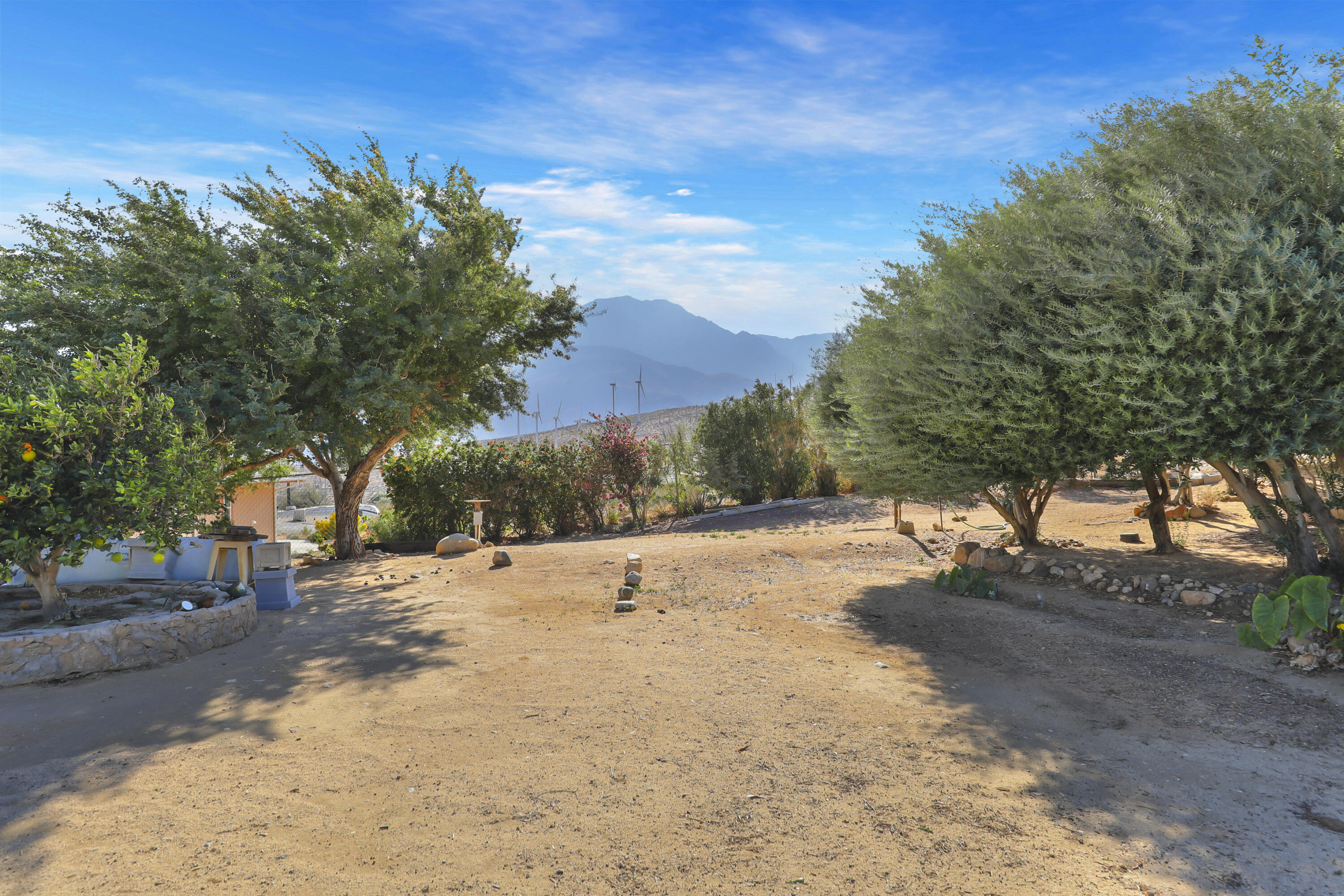 60781 Painted Hills Road Whitewater, CA 92282 - Photo 24 of 39 a view of dirt yard with a large tree