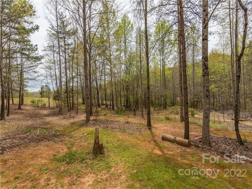 4467 Big Level Road Mill Spring, NC 28756 - Photo 21 of 33 a backyard of a house with lots of green space