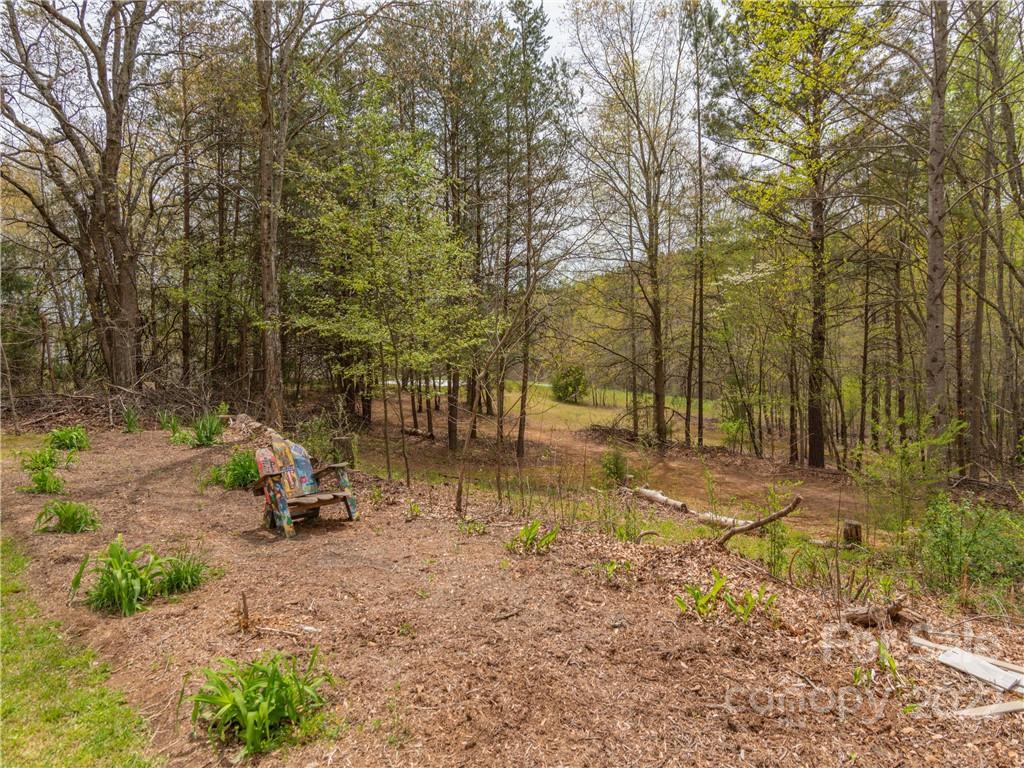 4467 Big Level Road Mill Spring, NC 28756 - Photo 30 of 33 a view of a park with large trees