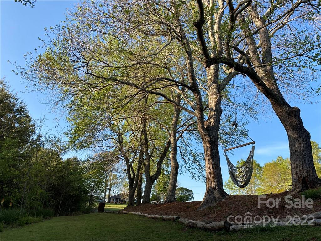 4467 Big Level Road Mill Spring, NC 28756 - Photo 31 of 33 a view of statue with a tree