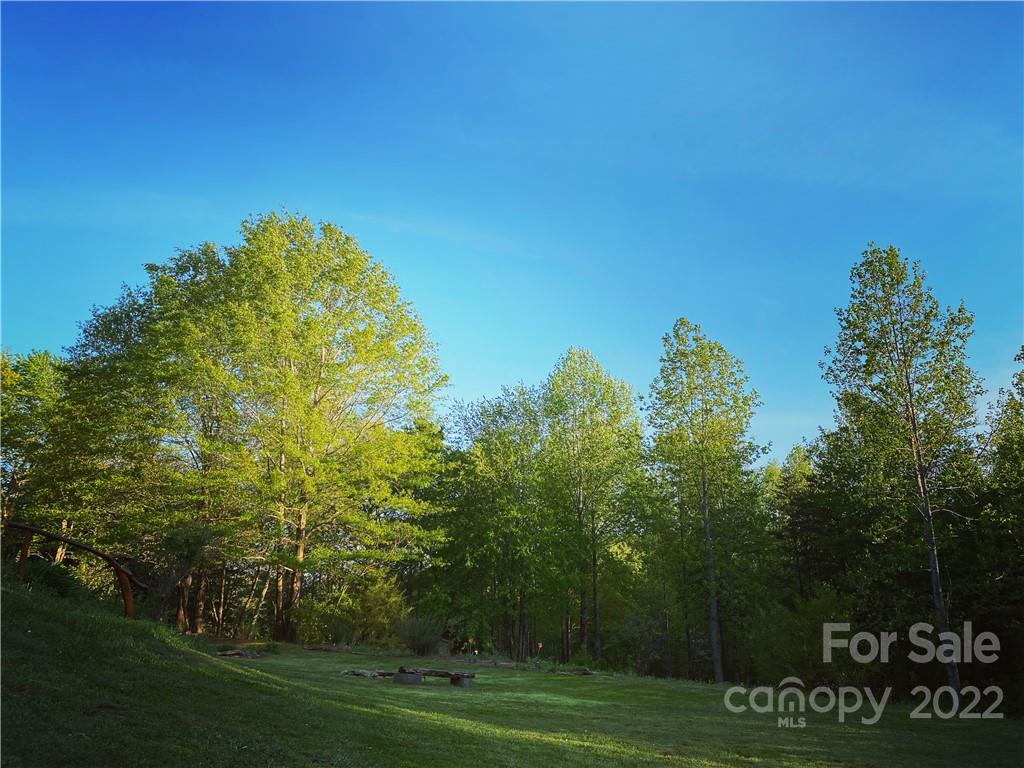 4467 Big Level Road Mill Spring, NC 28756 - Photo 33 of 33