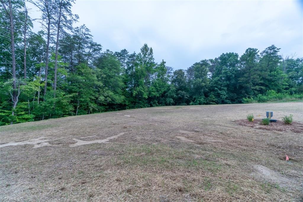 6846 Shields Drive Oak Ridge, NC 27310 - Photo 46 of 48