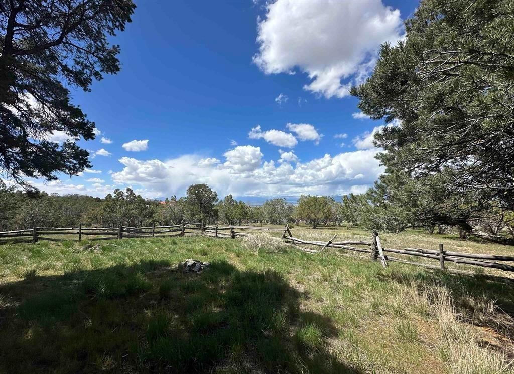 37838 Polson Road Crawford, CO 81415 - Photo 30 of 42 Gallery Image 30