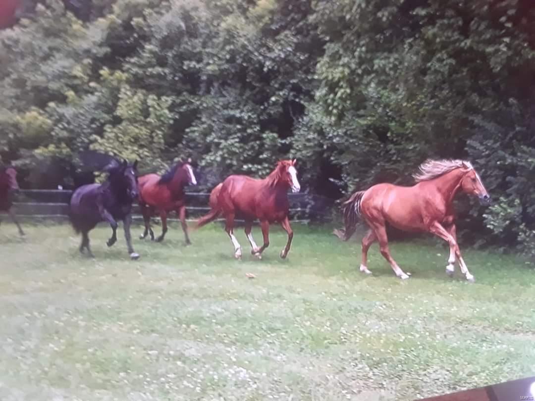 12154 Poggemoeller Road St. Louis, MO 63138 - Photo 2 of 27