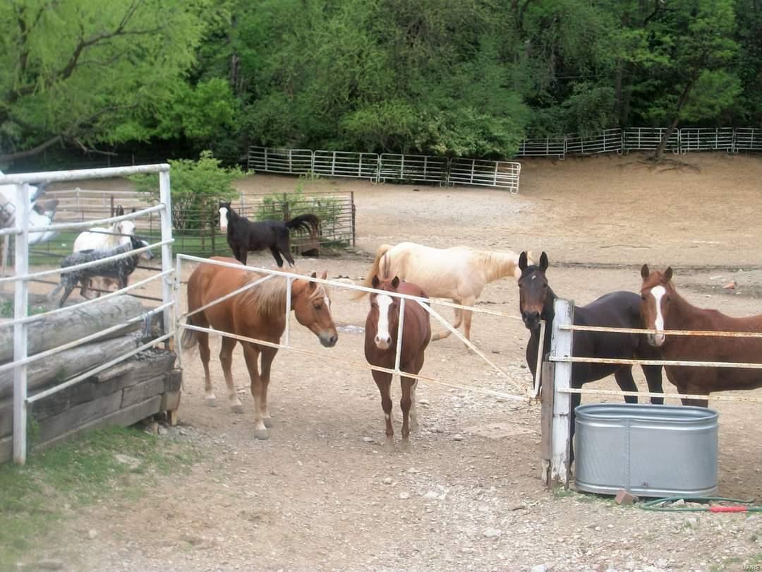 12154 Poggemoeller Road St. Louis, MO 63138 - Photo 10 of 27