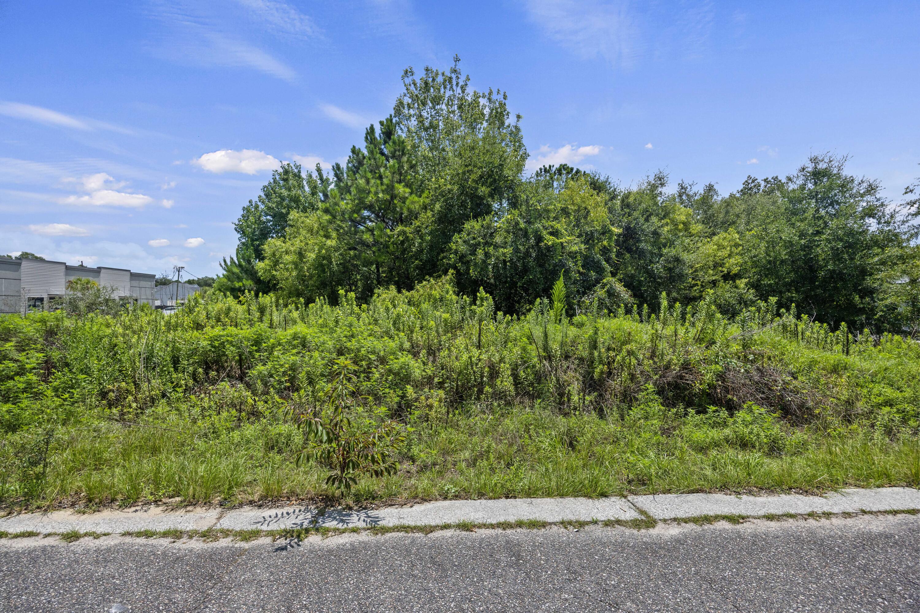481 Jessen Lane Wando, SC 29492 - Photo 13 of 14 243A5429