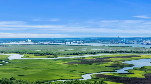 $70,000 | 481 Jessen Lane, Wando, SC 29492