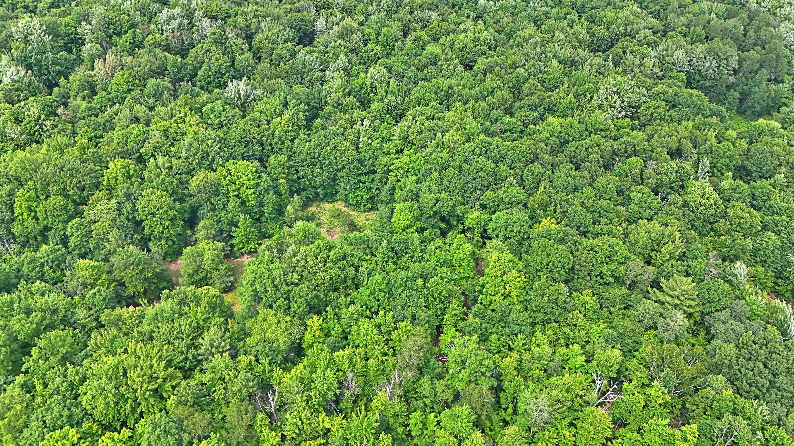 Vl 00 Cherry Hill Road Fife Lake, MI 49633 - Photo 9 of 26