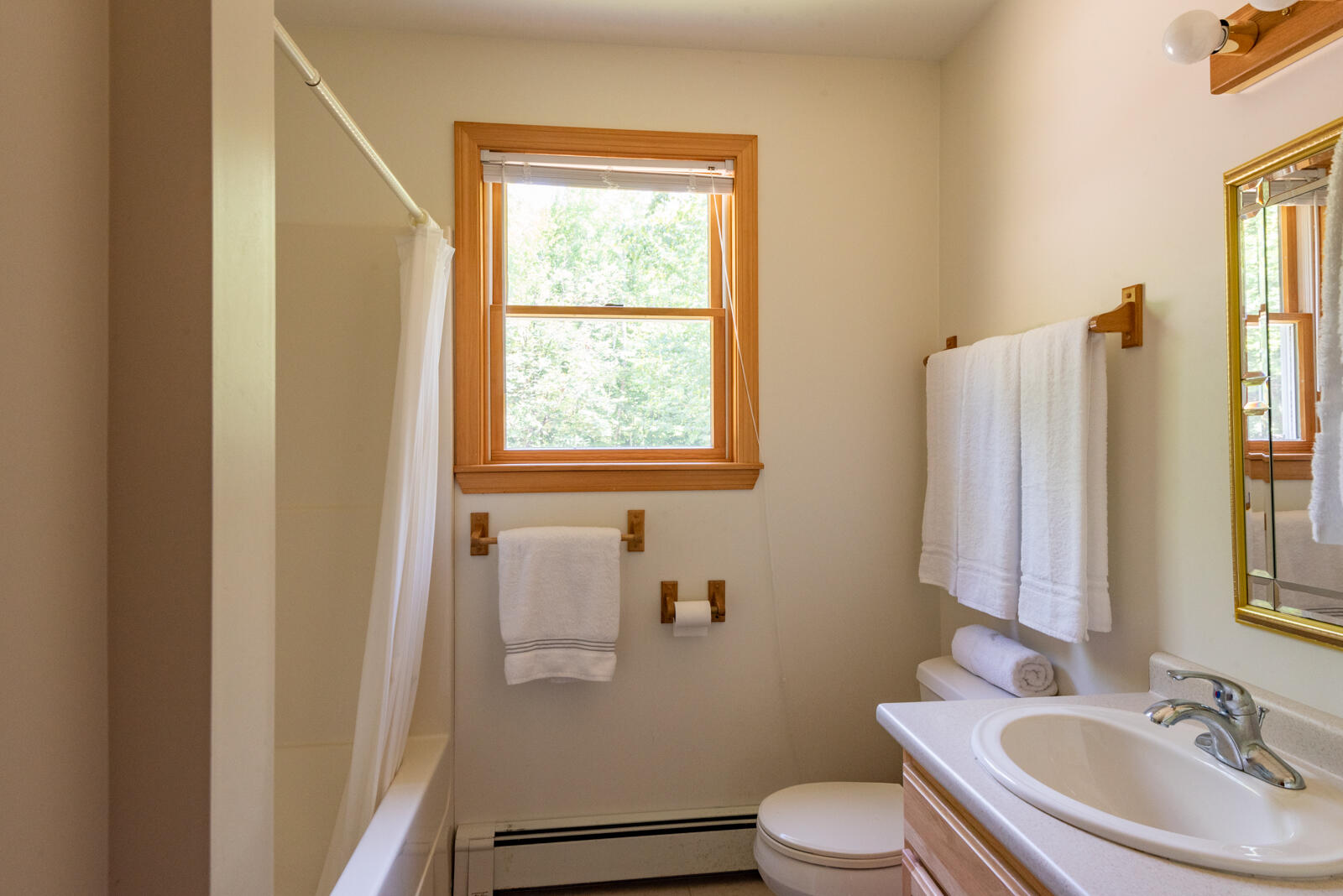 151 Peninsula Drive Rome, ME 04963 - Photo 41 of 52 lakehome_peninsula057