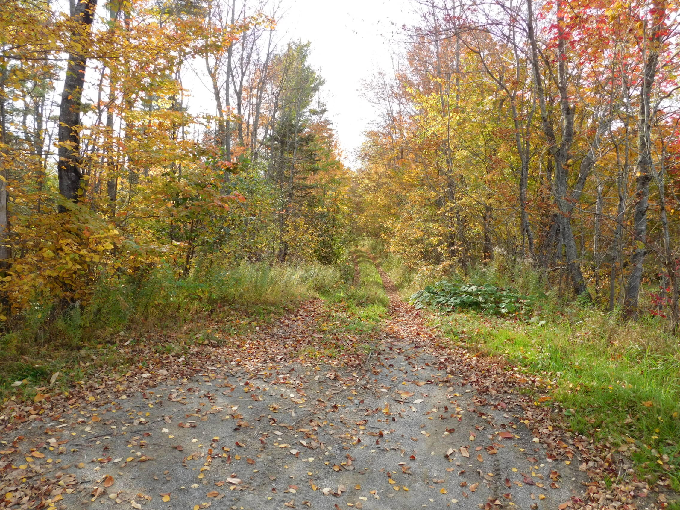326 Stetson Road Stetson, ME 04488 - Photo 14 of 20 14