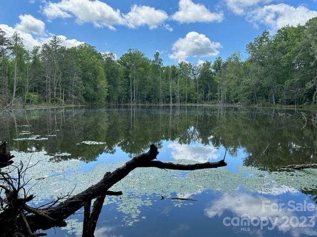 0 Davis Lake Road Forest City, NC 28043 - Photo 1 of 13 Gallery Image 1