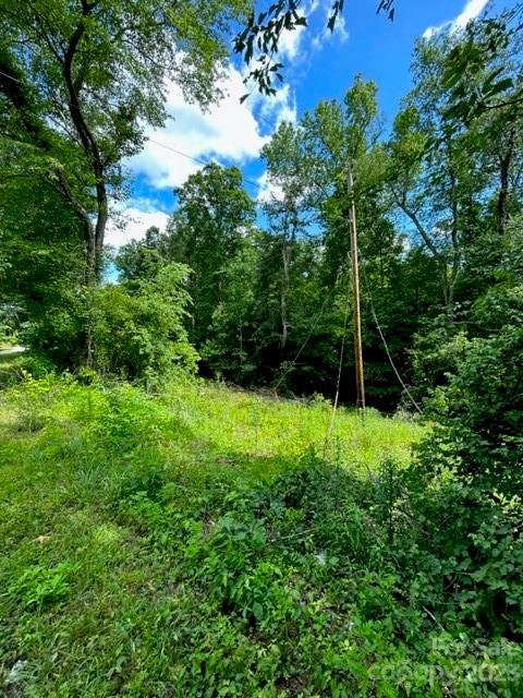 0 Davis Lake Road Forest City, NC 28043 - Photo 11 of 13 Gallery Image 11