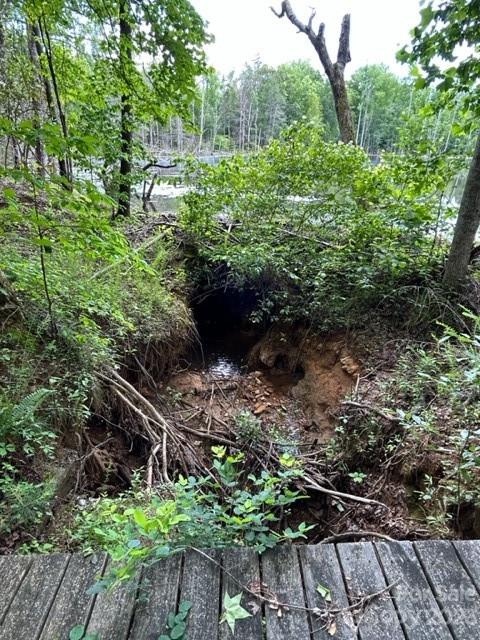 0 Davis Lake Road Forest City, NC 28043 - Photo 12 of 13 Gallery Image 12