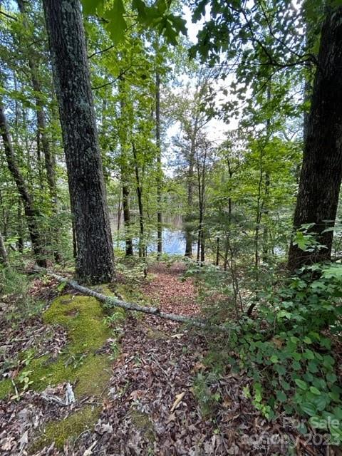 0 Davis Lake Road Forest City, NC 28043 - Photo 2 of 13 Gallery Image 2