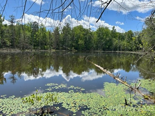 0 Davis Lake Road Forest City, NC 28043 - Photo 3 of 13 Gallery Image 3