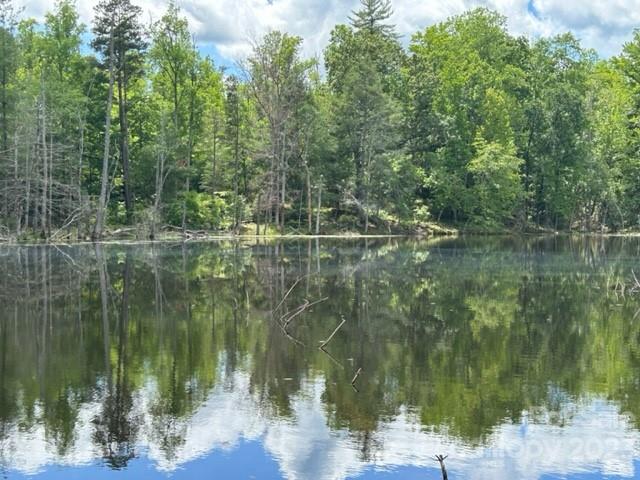 0 Davis Lake Road Forest City, NC 28043 - Photo 4 of 13 Gallery Image 4