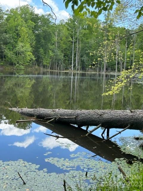 0 Davis Lake Road Forest City, NC 28043 - Photo 6 of 13 Gallery Image 6