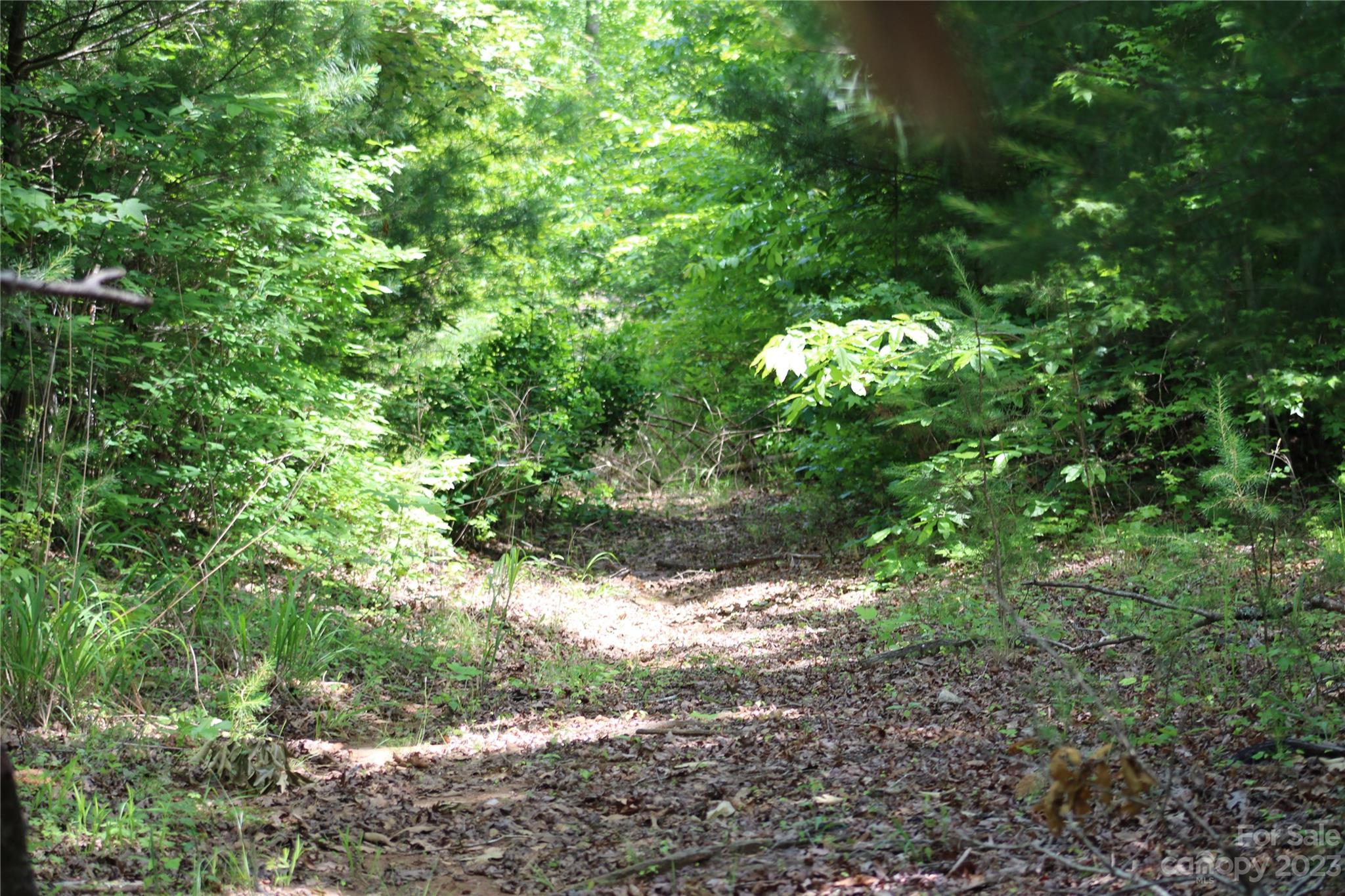 0 Davis Lake Road Forest City, NC 28043 - Photo 7 of 13 Gallery Image 7