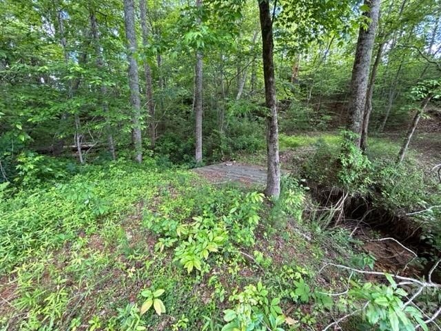 0 Davis Lake Road Forest City, NC 28043 - Photo 8 of 13 Gallery Image 8