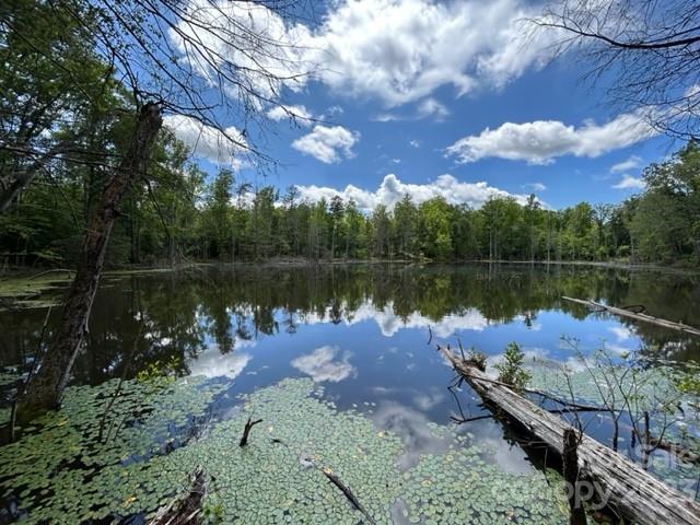 0 Davis Lake Road Forest City, NC 28043 - Photo 9 of 13 Gallery Image 9