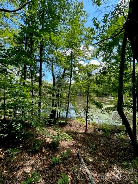 0 Davis Lake Road Forest City, NC 28043 - Photo 10 of 13 Gallery Image 10