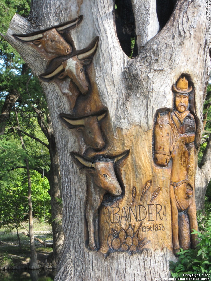 19-20 Cedar Bandera, TX 78003 - Photo 5 of 8